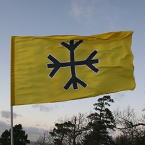 svenskarnasparti-fana-mini